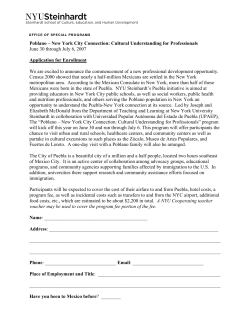 Download the Application in PDF Format