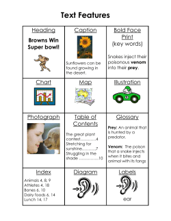 Text Features