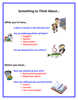 The Science Lab Rules/Safety Poster