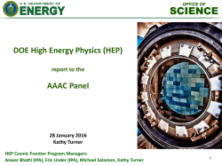 DOE/HEP Programs and Budget Update - Kathy Turner