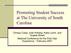 Promoting Student Success at The University of South Carolina