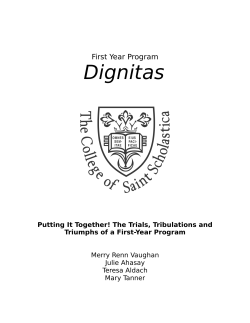 Putting It Together! The Trials, Tribulations, and Triumphs of a First-Year Program
