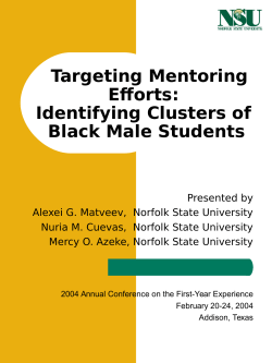 Targeting Mentoring Efforts: Identifying Clusters of Black Male Students