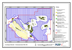 prognose_mi_wald.pdf