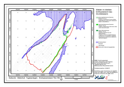 prognose_gt_wald1.pdf