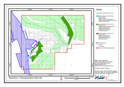 prognose_gn_wald.pdf