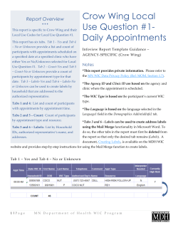 Crow Wing Local Use Question #1 - Daily Appointments (PDF)