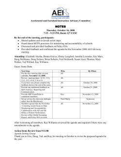 aei-committee-notes-2008-1016