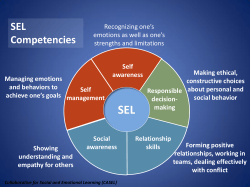 SEL Competencies