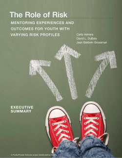 The Role of Risk: Mentoring Experiences and Outcomes for Youth with Varying Risk Profiles, Executive Summary (2013). MDRC.