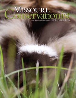 Download the current issue