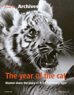 Download the PDF version of this story