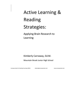 The Brain Packet.