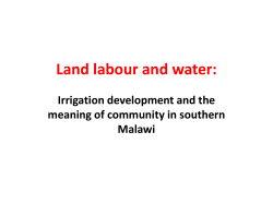 Land labour and water: Irrigation development and the meaning of community in southern Malawi [PDF 2.19MB]