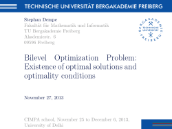 Stephan Dempe's Lectures