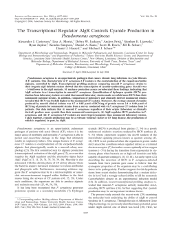 Download PDF