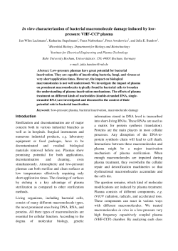 In vitro characterization of bacterial macromolecule damage induced by low-pressure VHF-CCP plasma