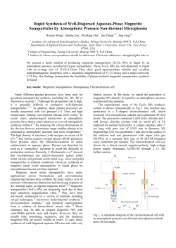 Rapid Growth of Magnetite Nanoparticles in Liqiud-Phase Assisted by Microplasma