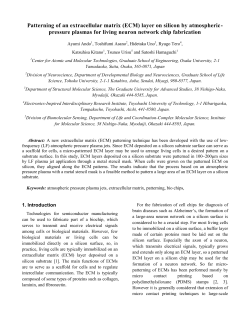 Patterning of an extracellular matrix (ECM) layer on silicon by atmospheric-pressure plasmas for living neuron network chip fabrication