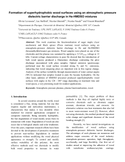 Formation of superhydrophobic wood surfaces using an atmospheric pressure dielectric barrier dicharges in He/HMDSO mixtures