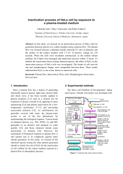Inactivation process of HeLa cell by exposure to a plasma-treated medium