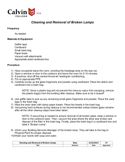 Cleaning and Removal of Broken Lamps