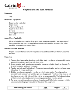 Stain and Spot Removal Carpets