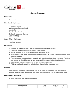 Damp Mopping Floors