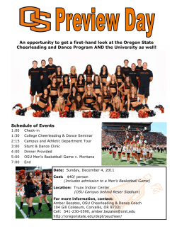 Preview Day Flyer11