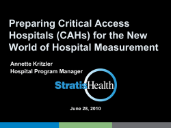 Preparing Critical Access Hospitals for the Minnesota Statewide Quality Reporting and Measurement System