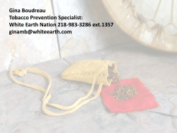 11. Smoke-Free Policy Successes in the White Earth Band of Ojibwe Tribal Community
