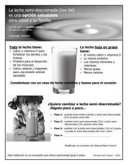 Spanish (WORD: 1.7MB/1 page)