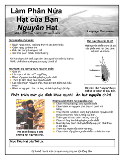 Make Half Your Grains Whole Grains - Vietnamese (PDF: 504KB/1 page)