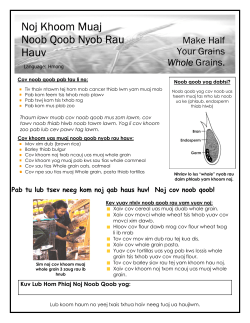 Make Half Your Grains Whole Grains - Hmong (PDF: 359KB/1 page)