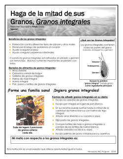 Spanish (WORD: 360KB/1 page)