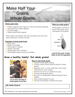 English (PDF: 418KB/1 page)