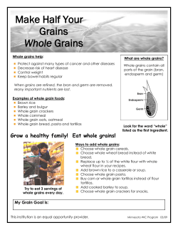 English (WORD: 350KB/1 page)