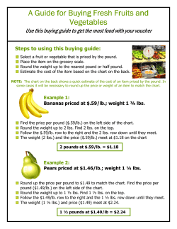 English (PDF: 282KB/2 pages)
