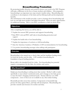 Breastfeeding Promotion Module (PDF)