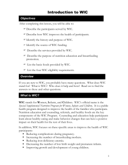 Introduction to WIC (PDF)