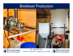 The biodiesel process