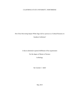 Adlof Cassidy thesis 2015