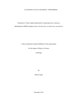 Gupta Dinesh thesis 2015