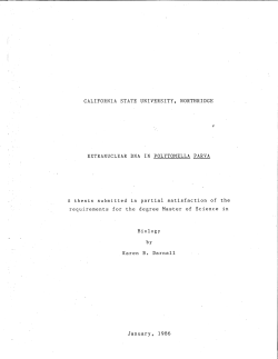 DarnallKaren1986