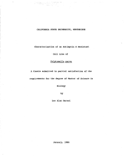 BaresiLee1986