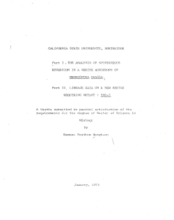BengstonRamona1975