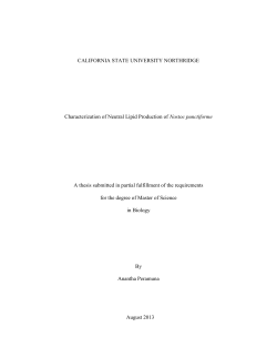 Peramuna Anantha thesis 2013