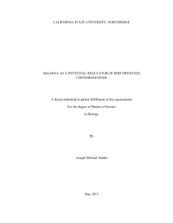 Aldahl Thesis Final