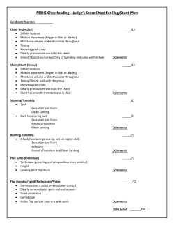 score sheet for flag runner/stunt man