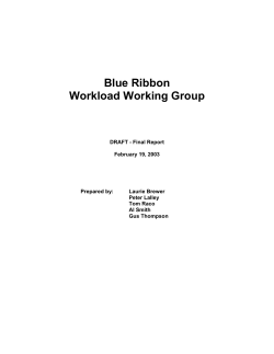 NTID Main Workload Report - Blue Ribbon